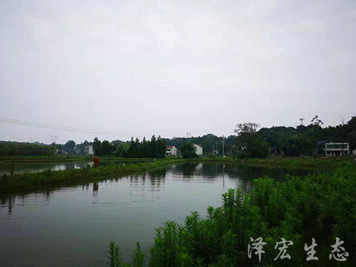 基地面貌 (6) 基地面貌 (6)