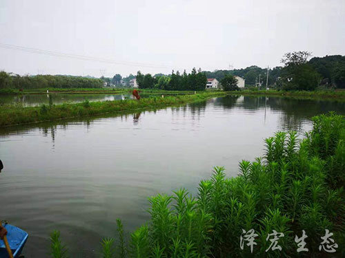 基地面貌 (2) 基地面貌 (2)
