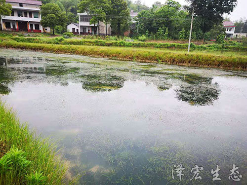 基地面貌 (3) 基地面貌 (3)