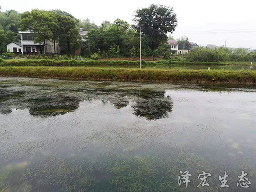 基地面貌 (4) 基地面貌 (4)