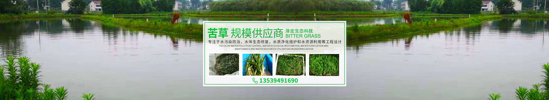湖南澤宏生態科技有限公司_長沙水環境流域生態治理|長沙水污染防治|長沙水體生態修復